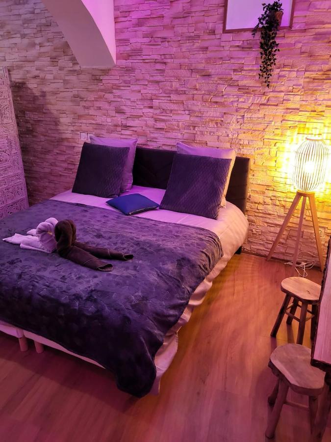 Le Spa De La Cathedrale - Jacuzzi - Sauna - Champagne - Netflix - Wifi Troyes Exterior photo
